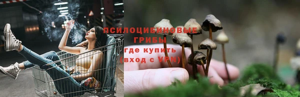 каннабис Кодинск