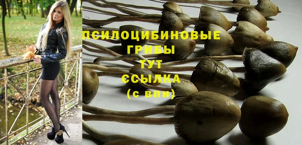 МДПВ Кинешма